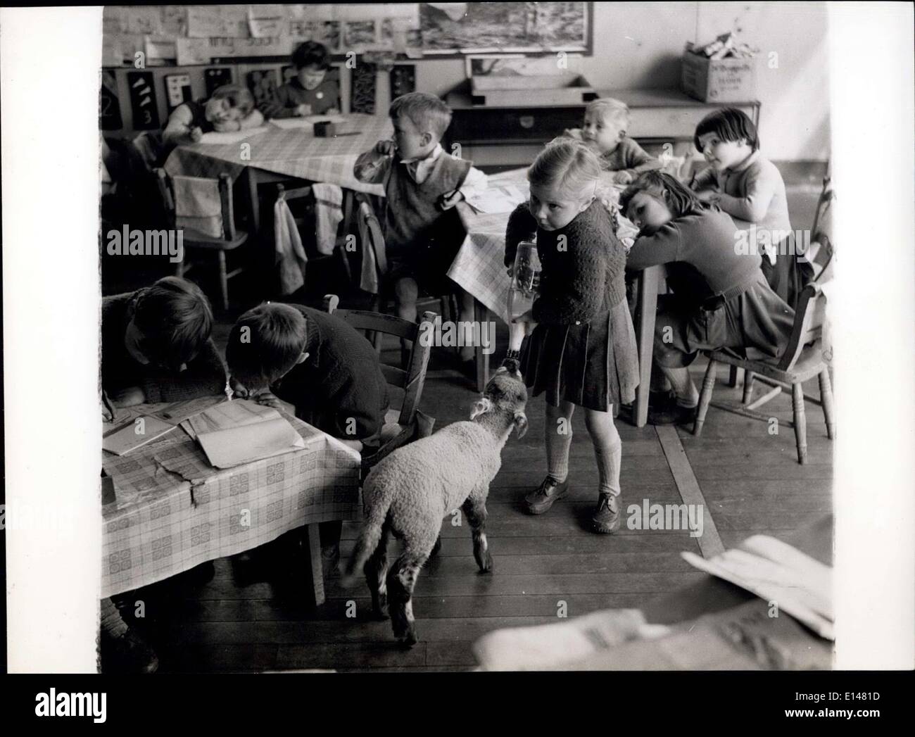 17. April 2012 - Fütterung für lockiges; Die Kinder in der Klasse der Säuglinge nehmen sie abwechselnd zu lockig geben seine Flasche bei der Fütterung. Bald wird er auf entwöhnt um zu Rasen. Stockfoto
