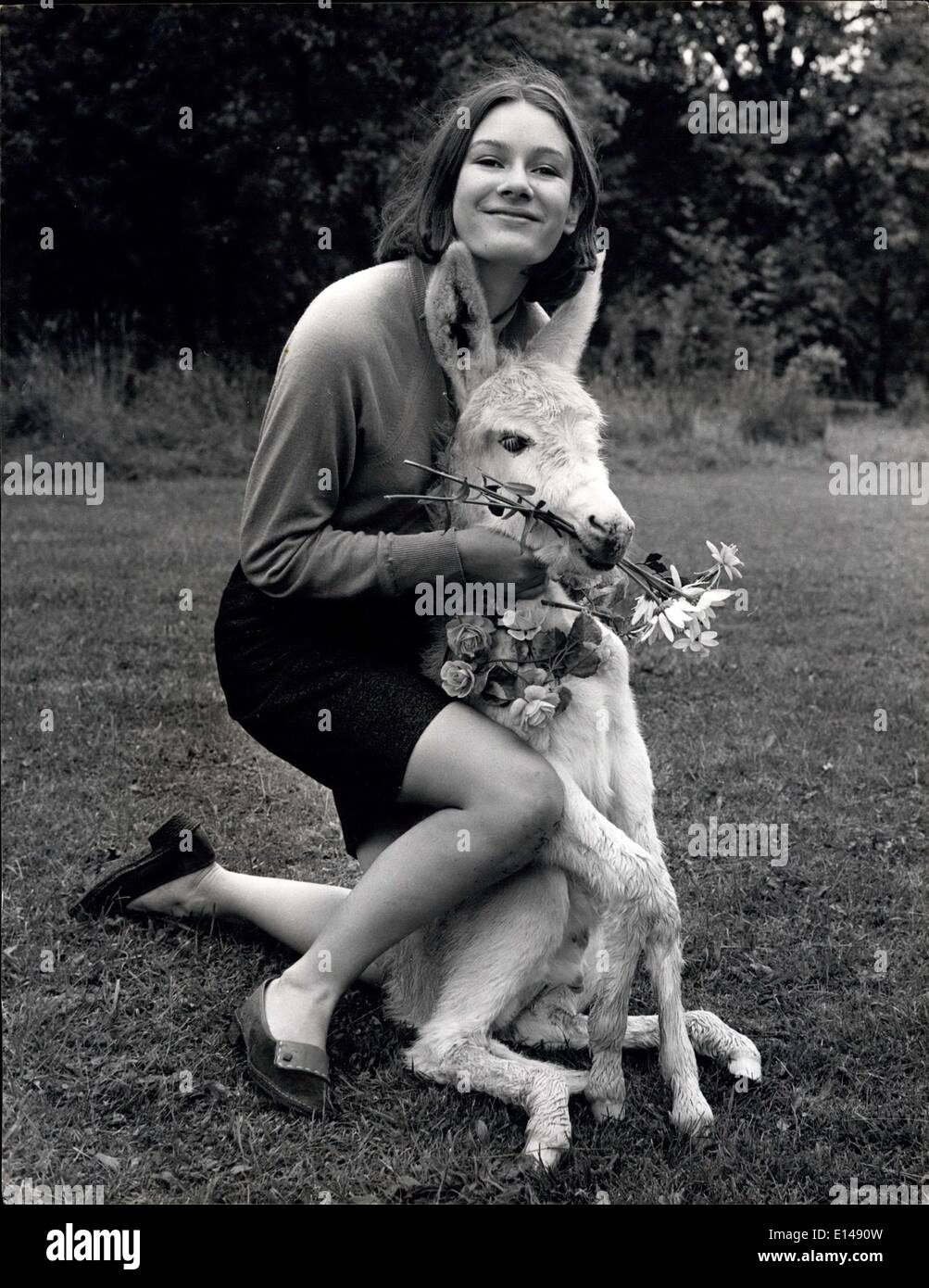 17. April 2012 - "lustige Dinge, Kameras; Ich würde nicht dagegen, eine engere schnuppern... aber sie hat mich fest gehalten, so was kann ein Esel tun aber still sitzen ". Judith Borwick mit Dudley. Kaulbarsche Obstgarten Esel Stud (Hawthorn Hill, Maidenhead, Berkshire) Stockfoto