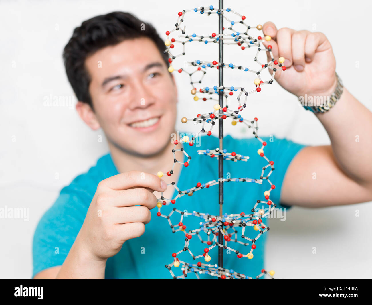 Gemischte Rassen Schüler arbeiten auf Doppel-Helix-Modell Stockfoto