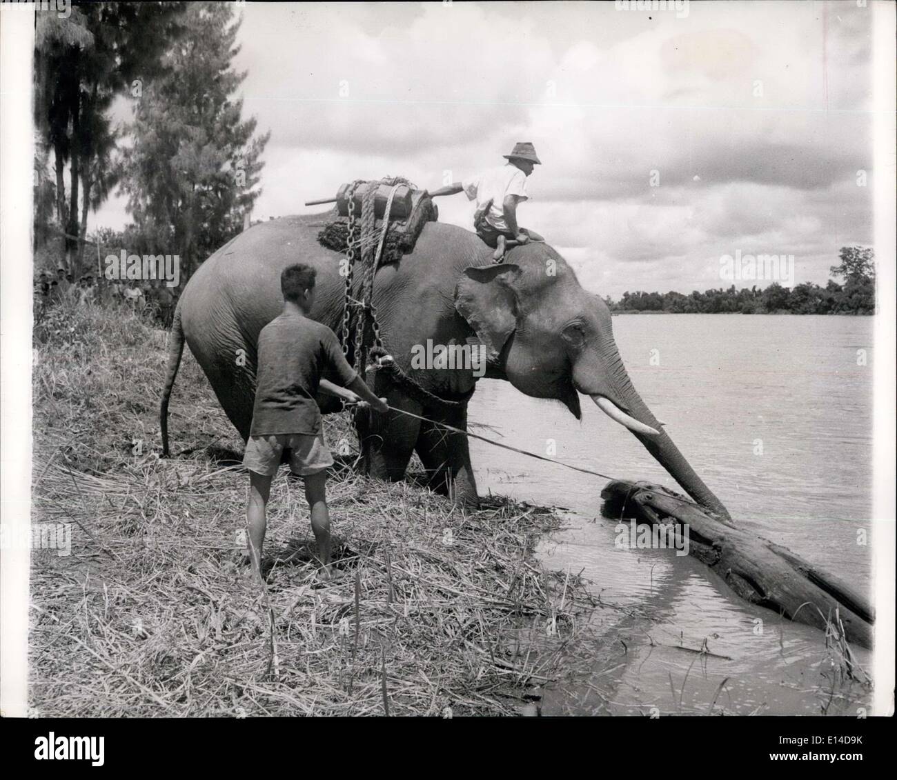 Kein Gehirn Stockfotos Und Bilder Kaufen Alamy