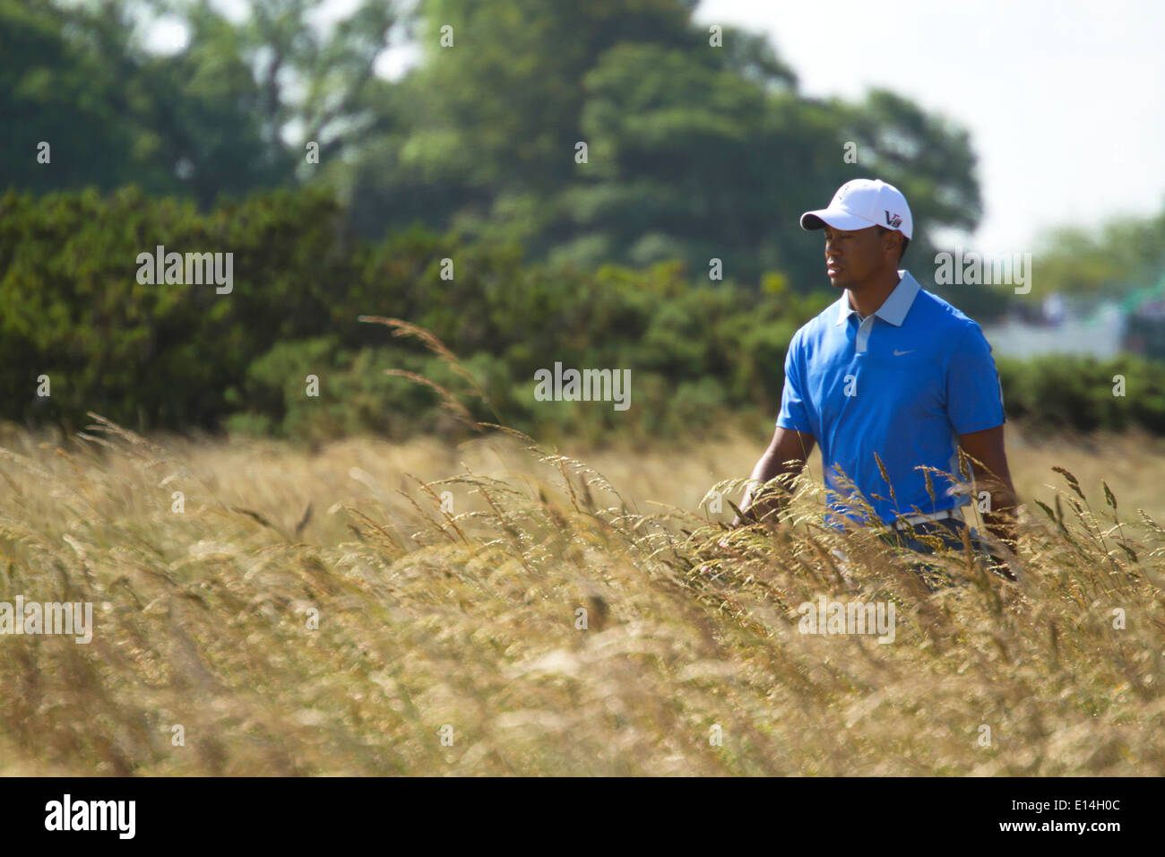 Tiger Woods während eine Proberunde in der 2013 British Open in Muirfield Golf Course Stockfoto