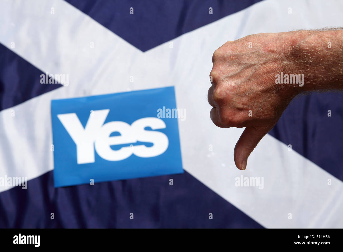 Ein Daumen runter zu unterzeichnen vor der schottischen Andreaskreuz Fahne und ein Ja. Stockfoto