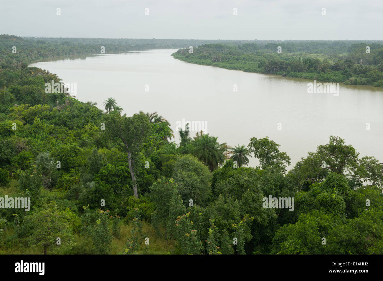 Blick über den GambiaFluss im Fluss Gambia National Park, Gambia