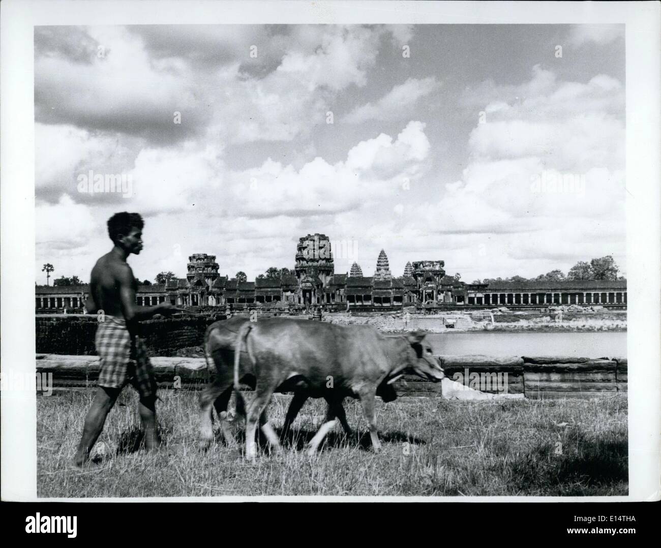 18. April 2012 - Life as Usual: ein Landwirt in der Nähe von Siem Reap, Kambodscha, ist nicht beeindruckt von Angkor Wat, die fantastischen Tempel im XII Jahrhundert erbaut. Obwohl es eines der Wunder der Welt ist, dient er mehr dahinter, als Besucher, und er ignoriert es. Stockfoto