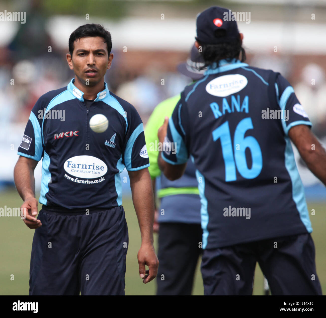 Sussex County Cricket Spieler einschiffigen Arif Gondal Stockfoto