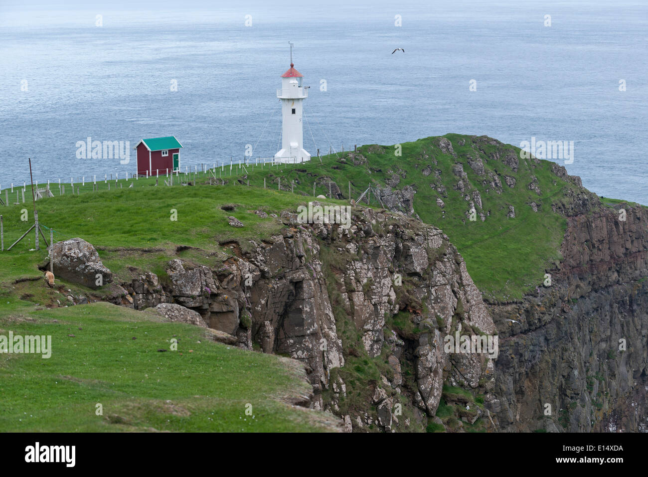 Leuchtturm, Akraberg, der südlichste Punkt von Suðuroy, Färöer Inseln, Dänemark Stockfoto