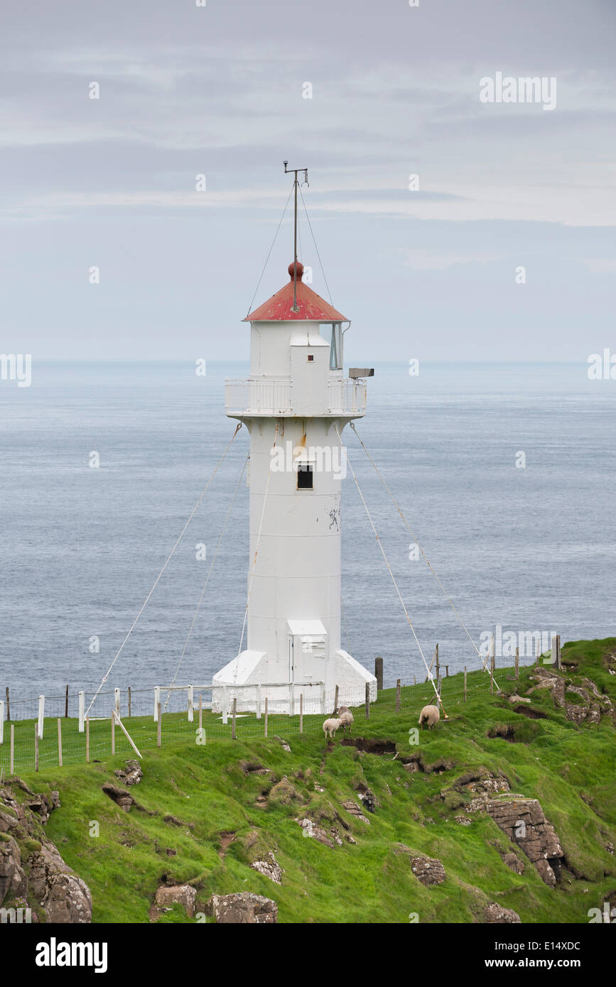 Leuchtturm, Akraberg, der südlichste Punkt von Suðuroy, Färöer Inseln, Dänemark Stockfoto