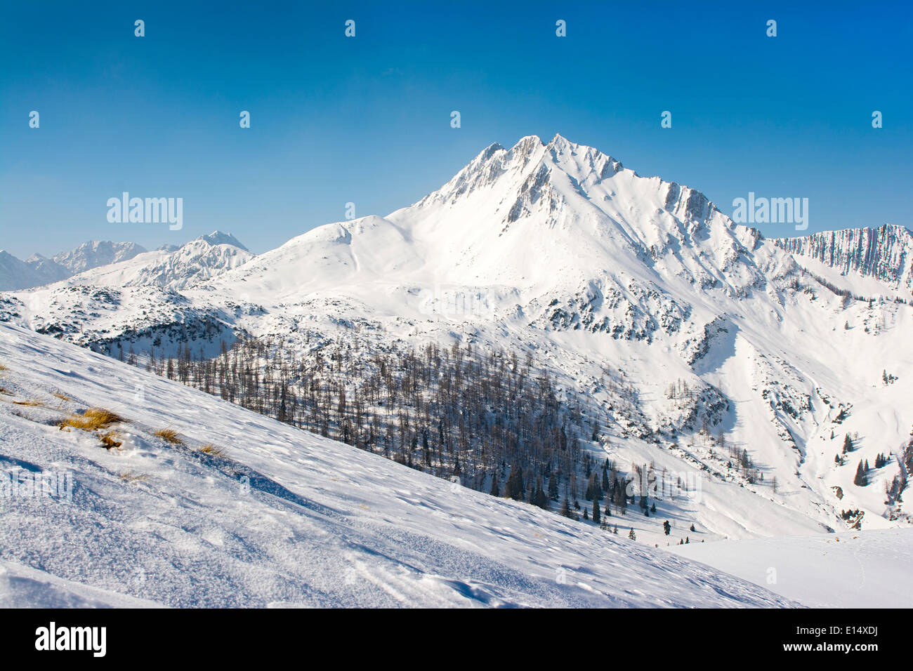 Mondscheinspitze-Berg im Winter, Karwendelgebirge, Tirol, Österreich Stockfoto