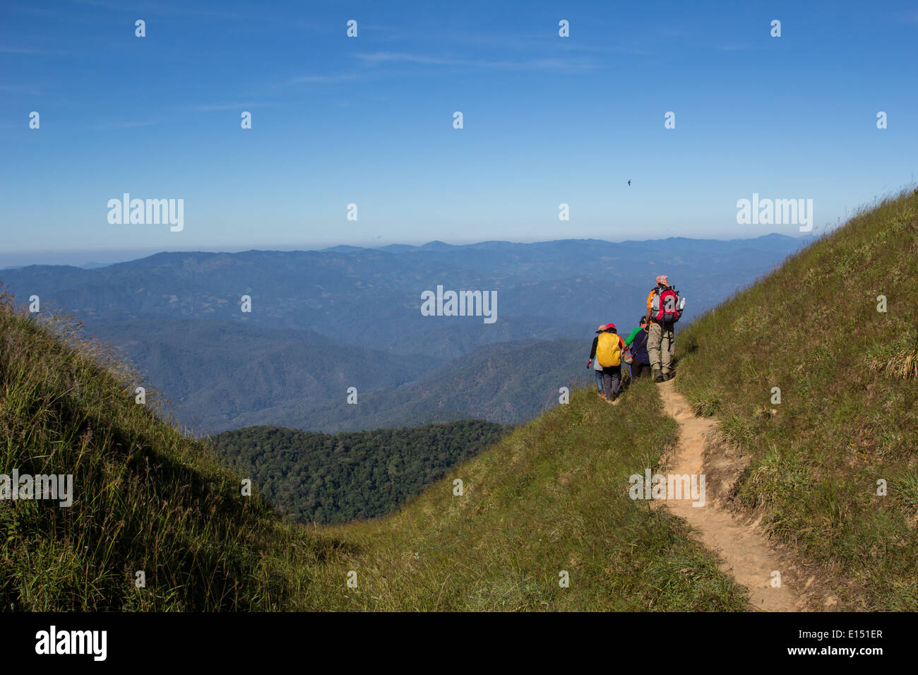 Trekking-Tag in den Bergen in Thailand Stockfoto