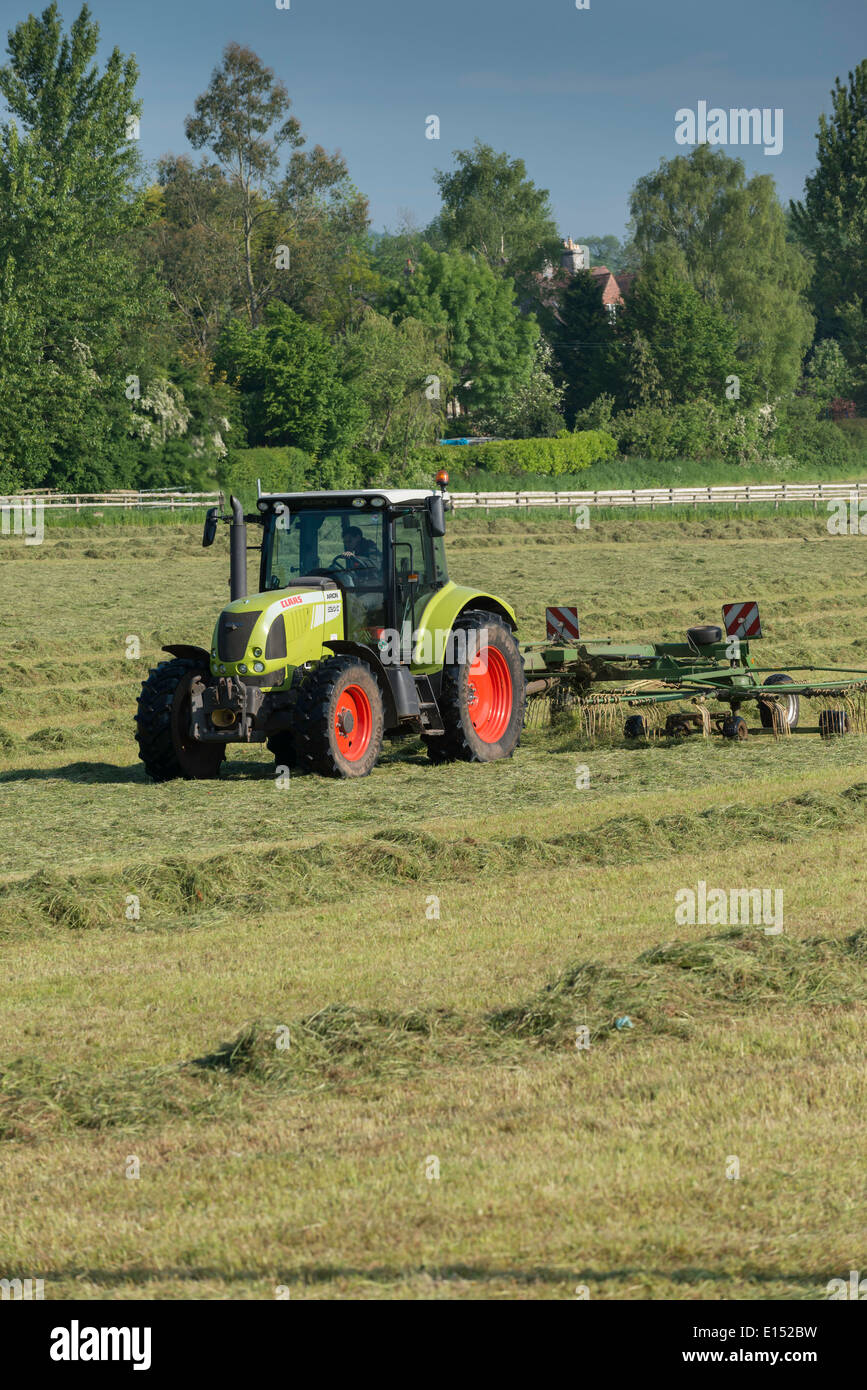 Traktor "Rudern" bereits geschnittenen Rasen zum Trocknen für Silage im Feld in Gloucestershire im späten Frühjahr. Stockfoto