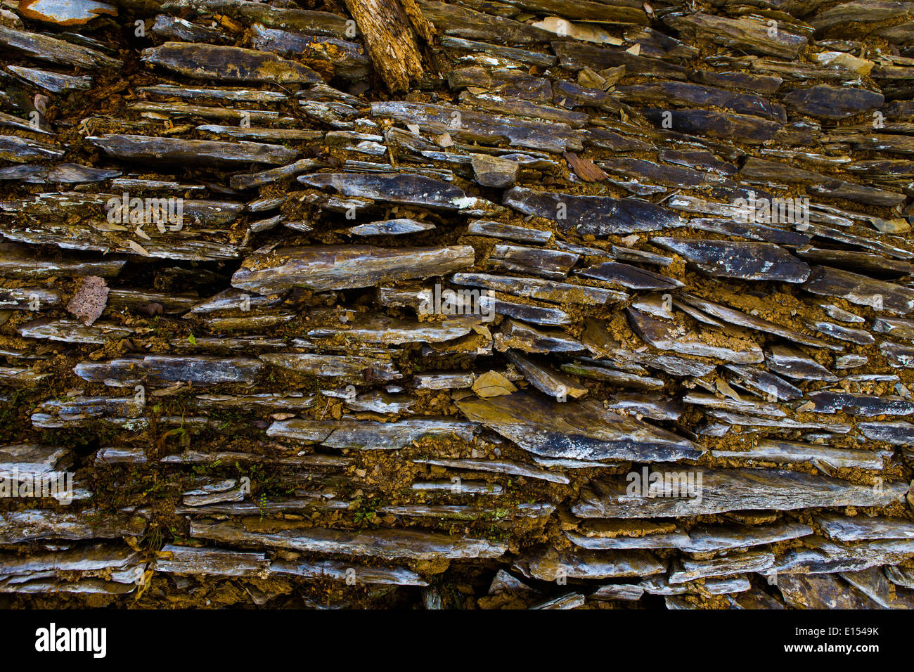 Trockenmauer mit Moos auf ihm wachsen. Stockfoto