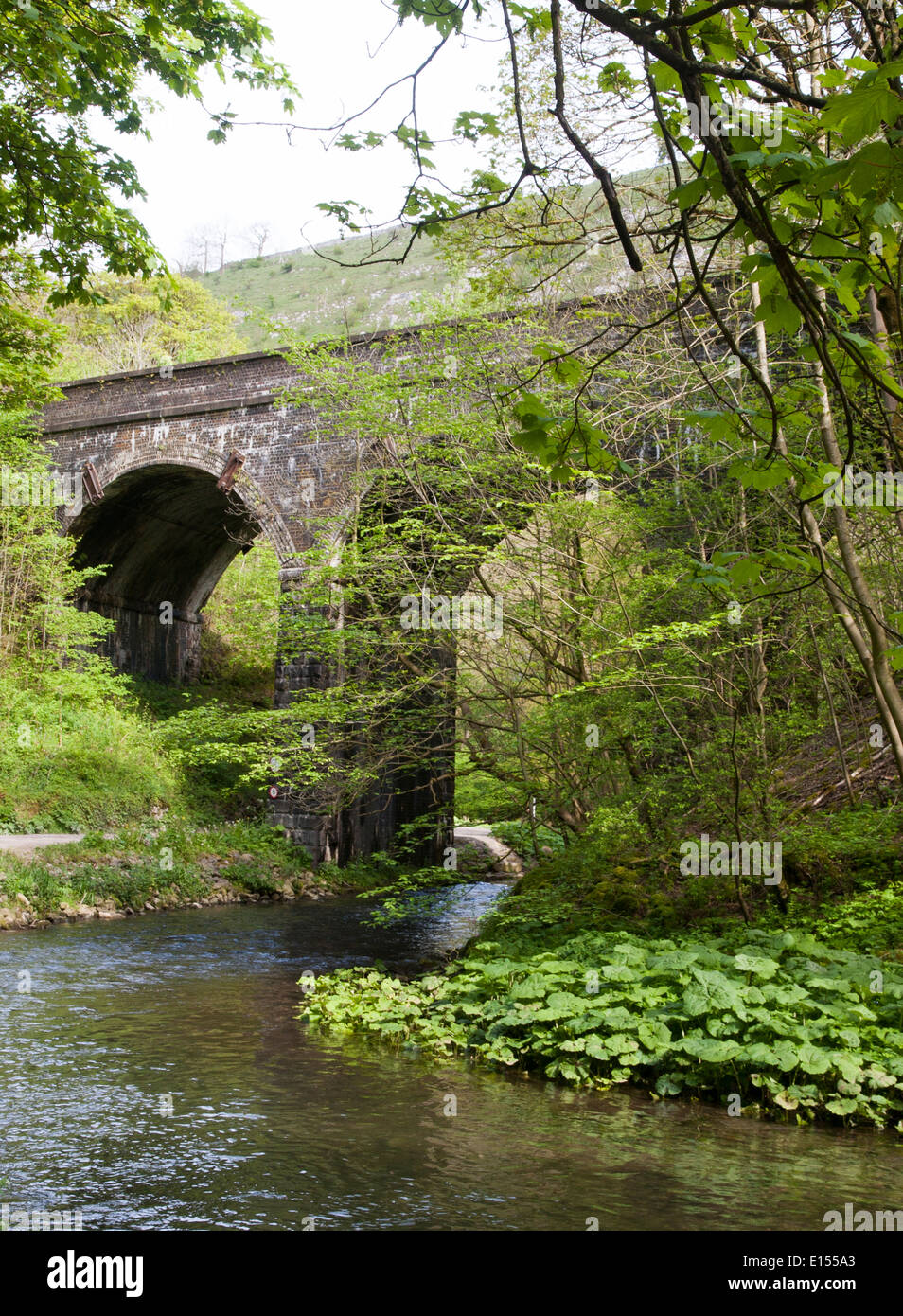 Eisenbahn-Viadukt Wye Dale Derbyshire UK Stockfoto