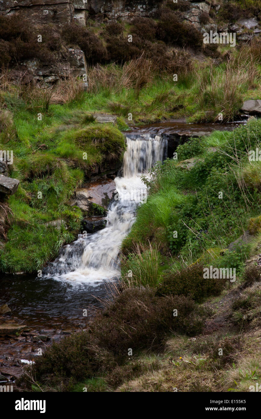 Kinder-Fluss Wasserfall im Nether Norden Korn Kinder Scout Derbyshire UK Stockfoto