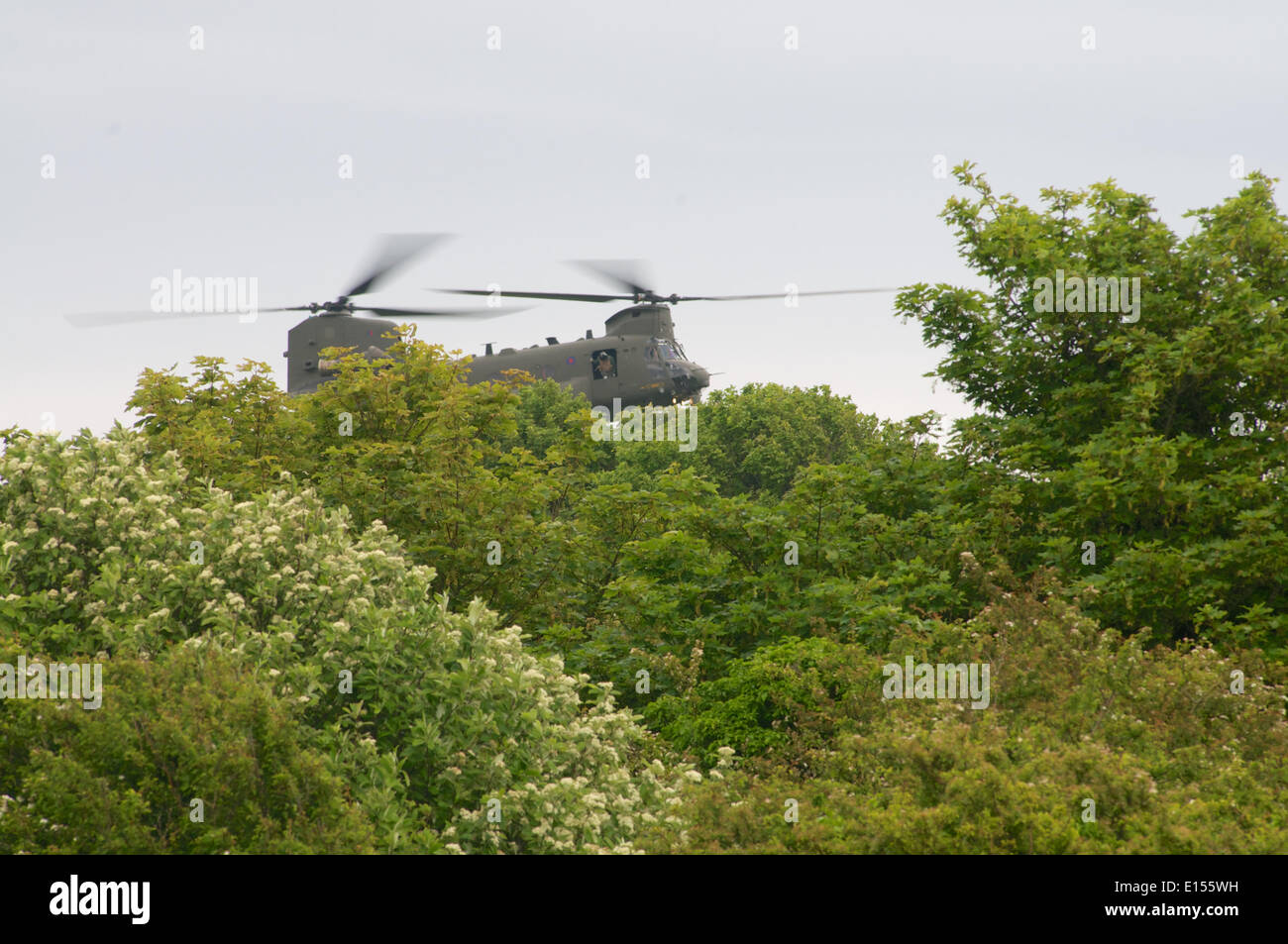 Dover, Kent, UK. 22. Mai 2014. Ein RAF Chinook-Hubschrauber wurde im Wald oberhalb der weißen Klippen von Dover entdeckt. Bildnachweis: Graham Mitchell/Alamy Live News Stockfoto