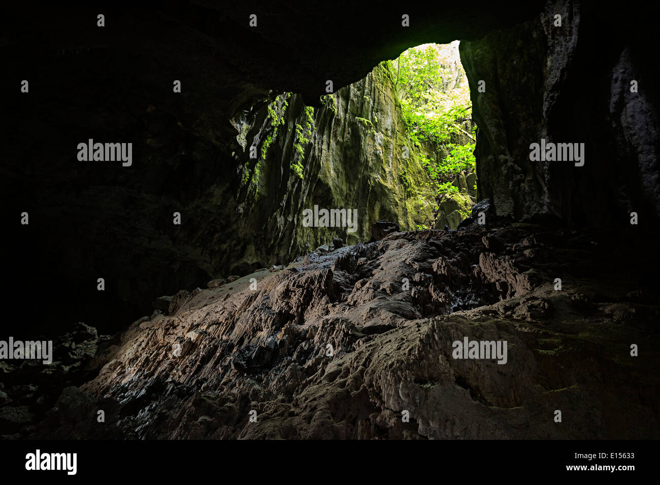 Phytokarst und Tageslicht Eingang zum Clearwater Cave, Mulu, Malaysia Stockfoto