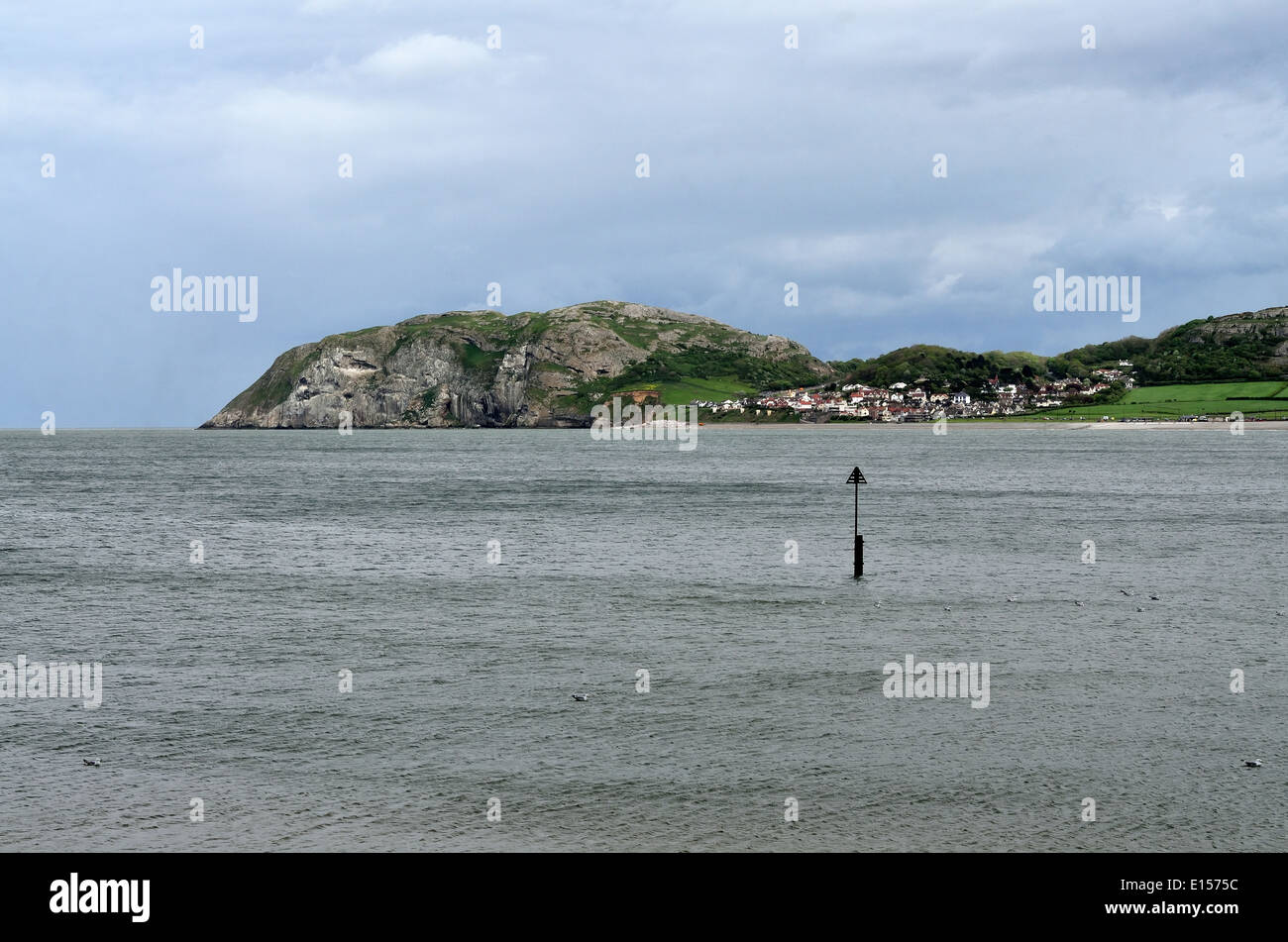 Little Orme Llandudno Nordwales Stockfoto