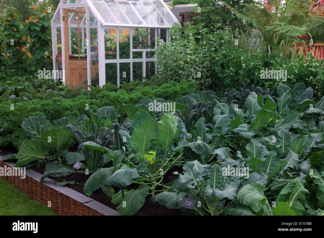 "Ihre eigene Gemeinschaft Anzeige Süd-West in voller Blüte im RHS Chelsea Flower show 2014 wachsen Stockfoto