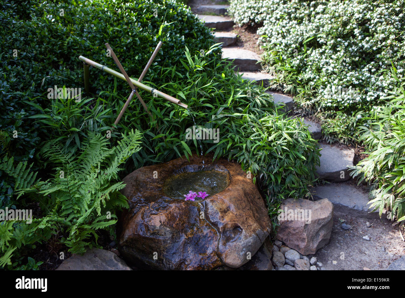 Stein Gehweg Im Japanischen Garten Botanischer Garten Prag Stockfotografie Alamy