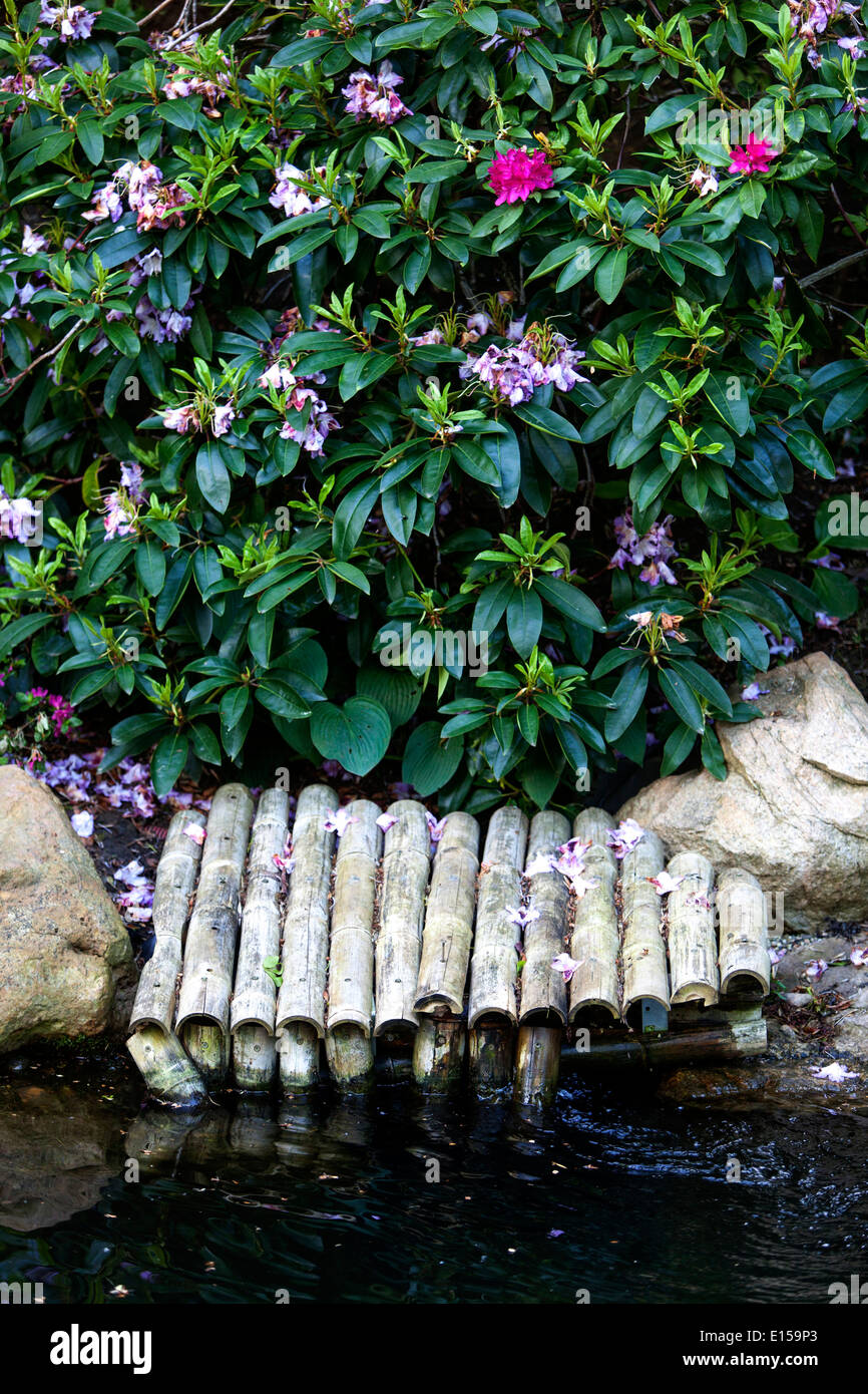 Steine und Holzsteg im japanischen Garten Stockfoto