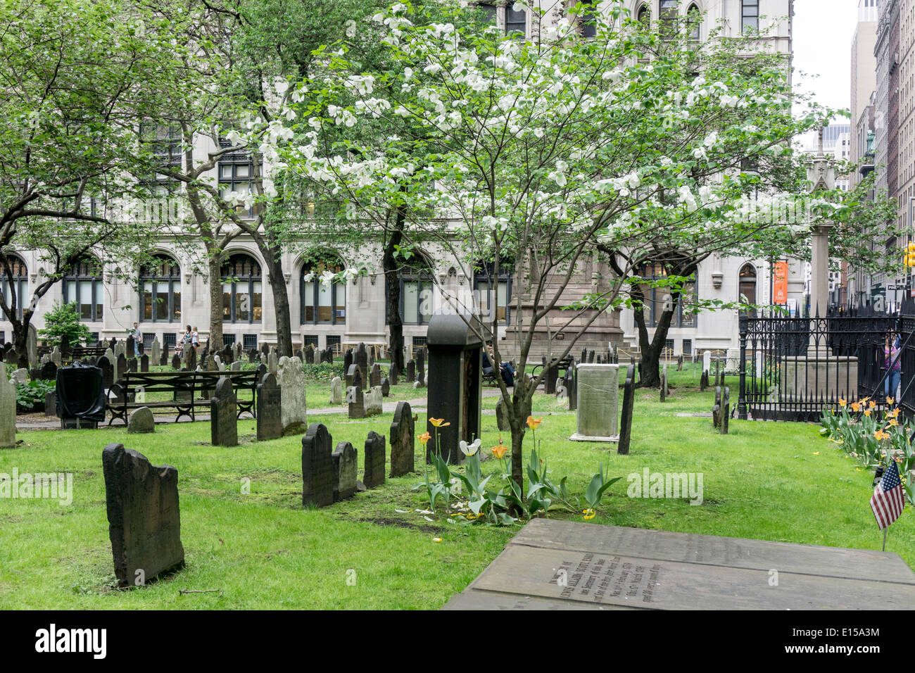 dunkle alte Grabsteine vermischen sich mit militärischen Krypten inmitten Frühjahr Wiese unter fröhlichen weißen Blüte Hartriegel Bäume Trinity Churchyard Stockfoto