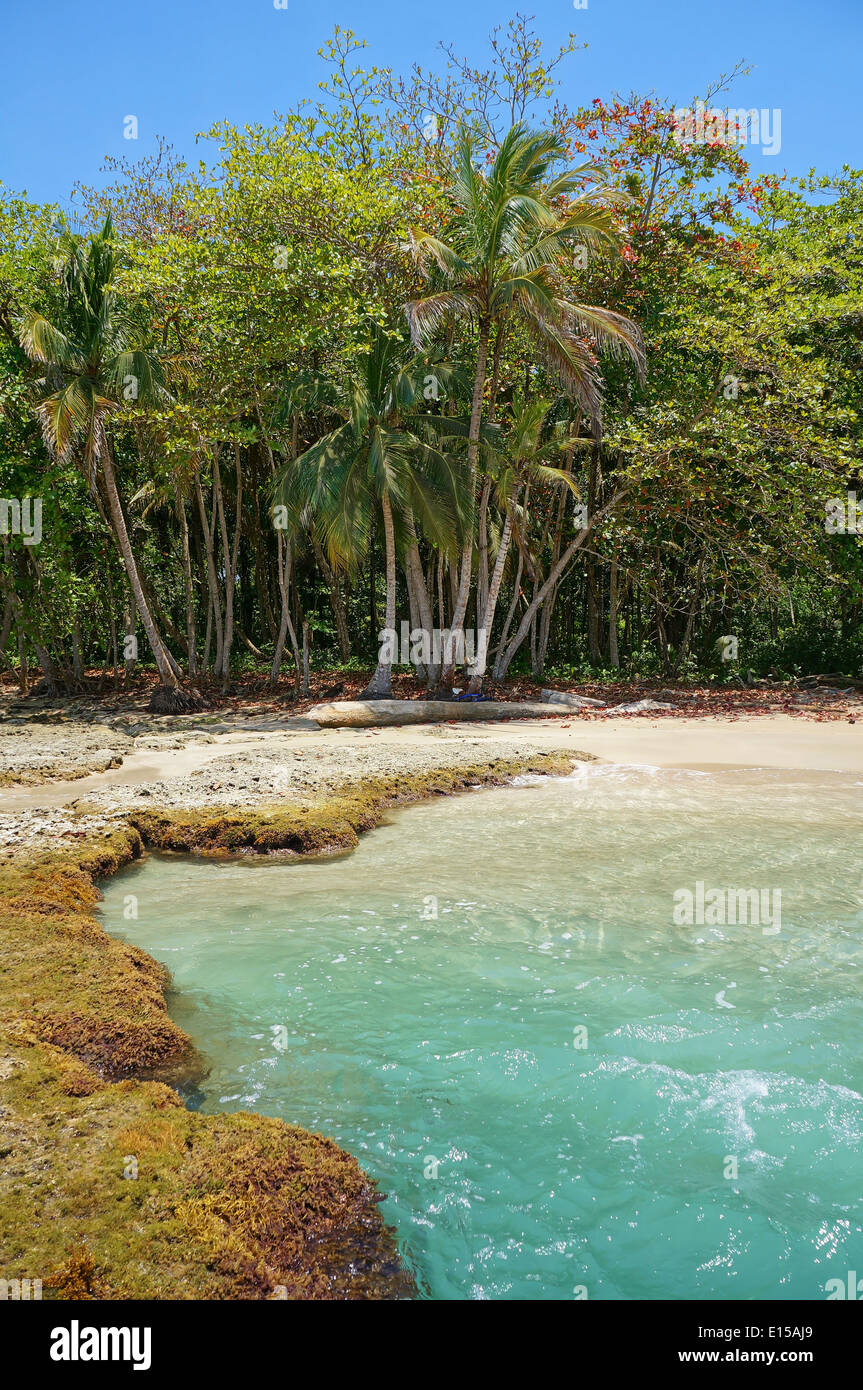 Costa Rica Strand mit türkisblauem Wasser an der karibischen Küste, Playa Chiquita, Puerto Viejo de Talamanca Stockfoto