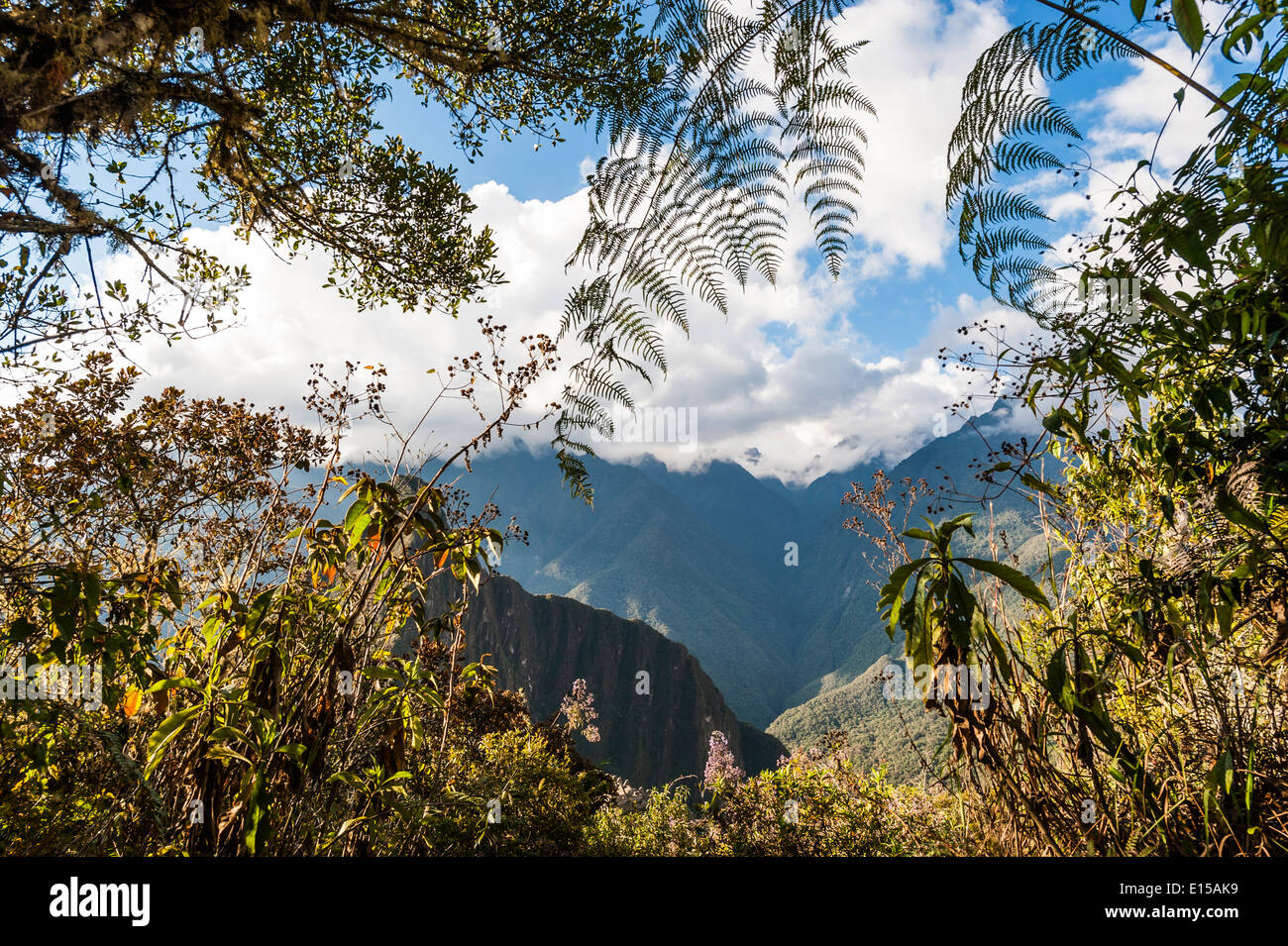 Der Weg zum Machu Picchu Hügel durch die Berge, Heilige Tal, Peru Stockfoto