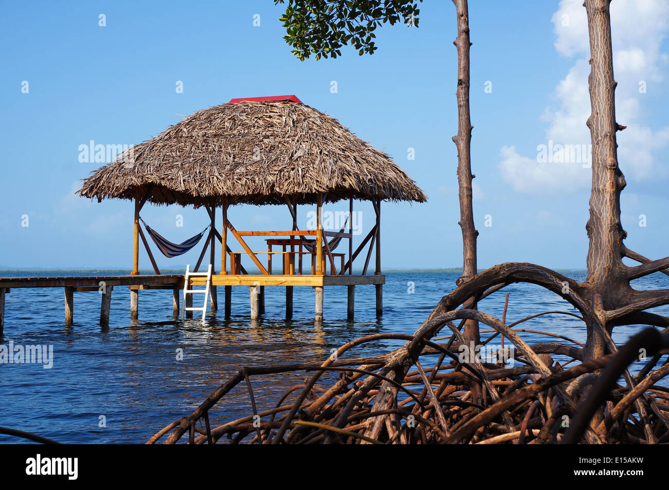 Strohgedeckte Hütte mit Hängematte über dem Meer und Mangroven Wurzeln im Vordergrund Stockfoto