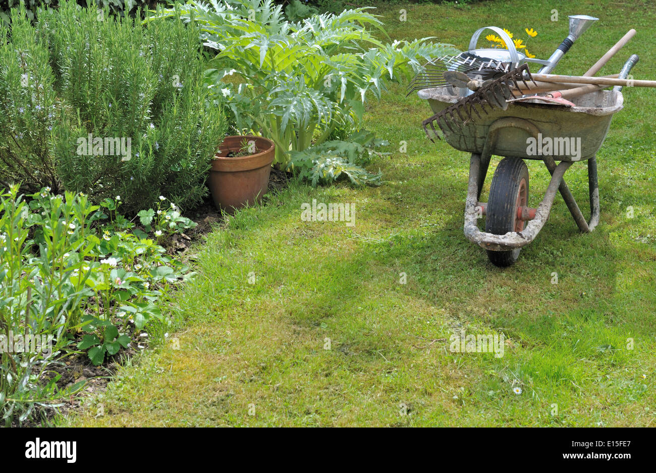 Gartengeräte in einer Schubkarre in einem Garten, Stockfoto