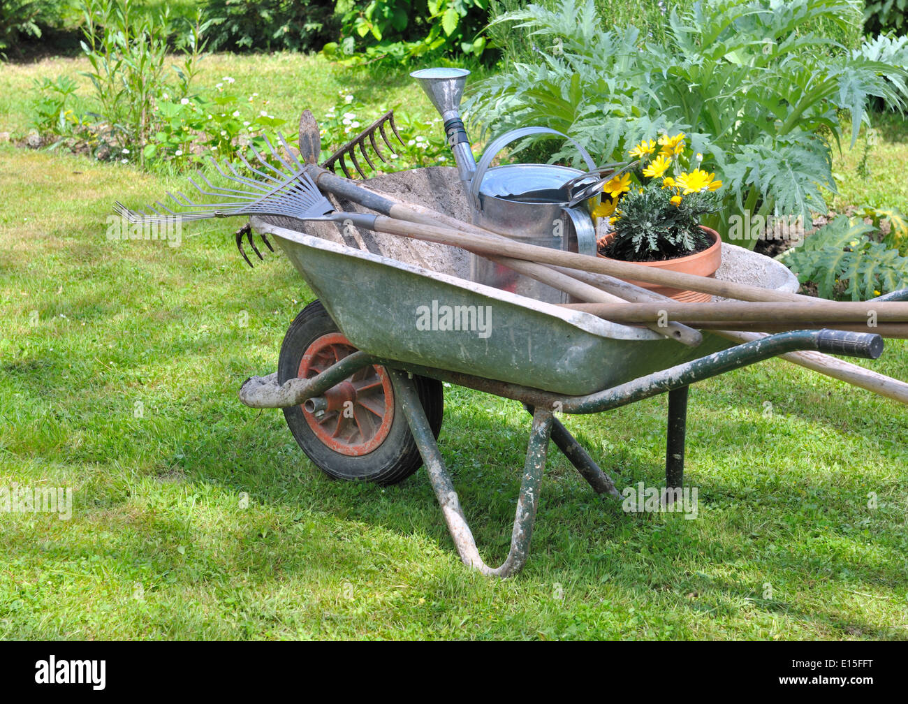 Gartengeräte in einer Schubkarre mit Topfblumen Stockfoto