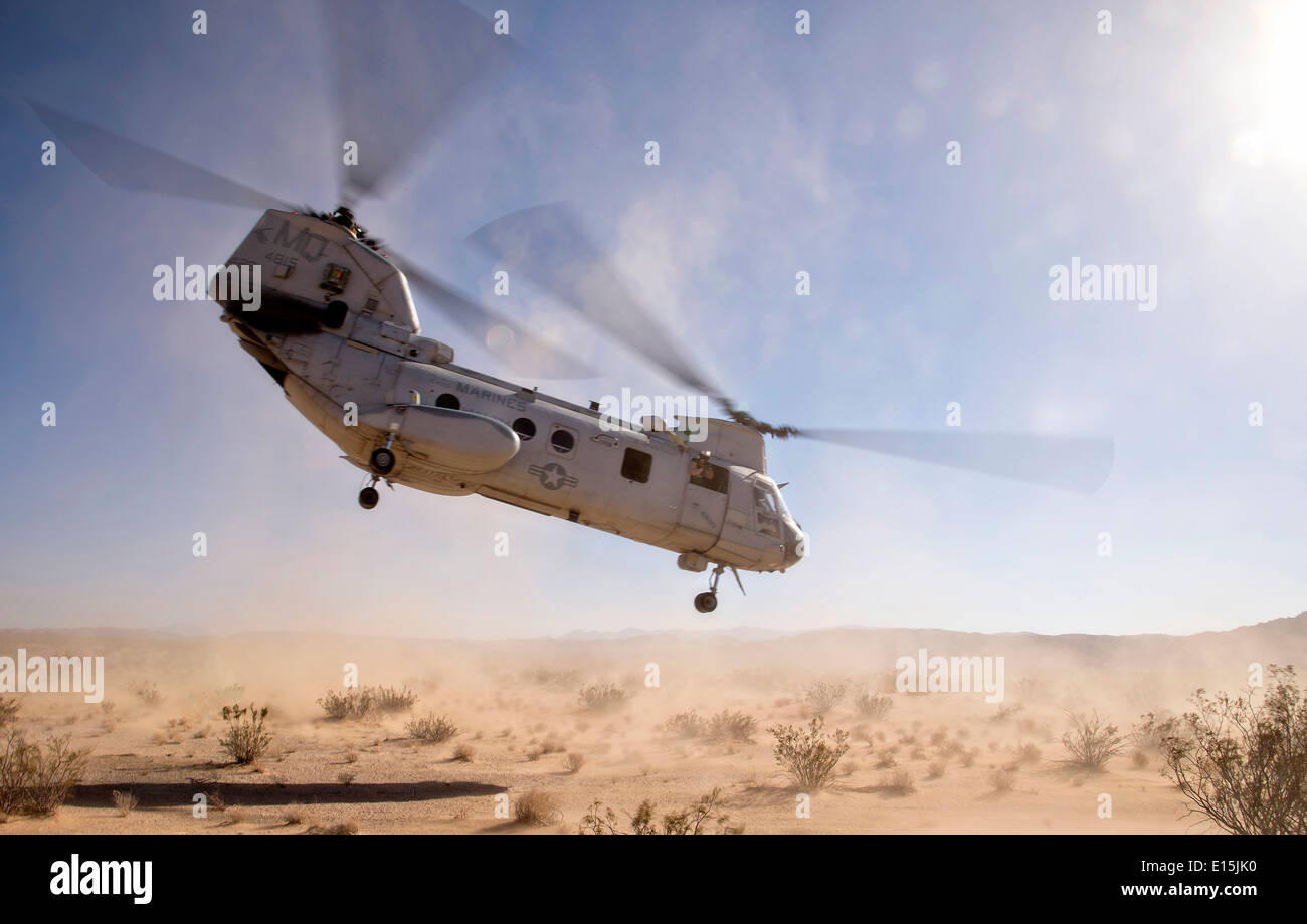 US Marine Corps CH-46E Sea Knight Helikopter zieht aus einem Schmutz-Feld während eines integrierten Übung auf der Marine Corps Air Ground Combat Center 16. Juni 2013 in Twentynine Palms, Kalifornien. Stockfoto