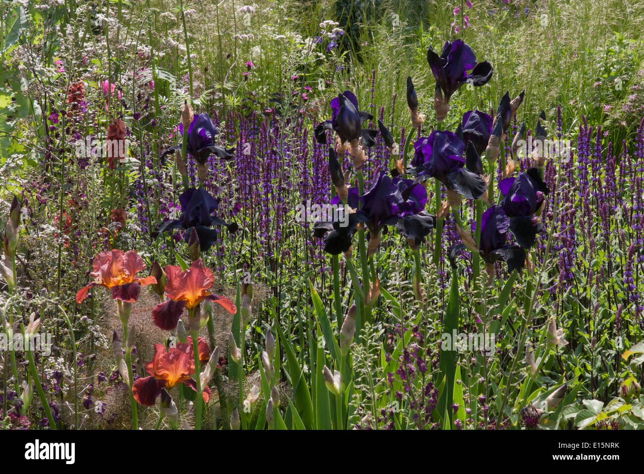 RHS Chelsea Flower show 2014 Cloudy Bay sensorischer Garten - Designer Andrew Wilson & Gavin McWilliam - Sponsor: Cloudy Bay Stockfoto