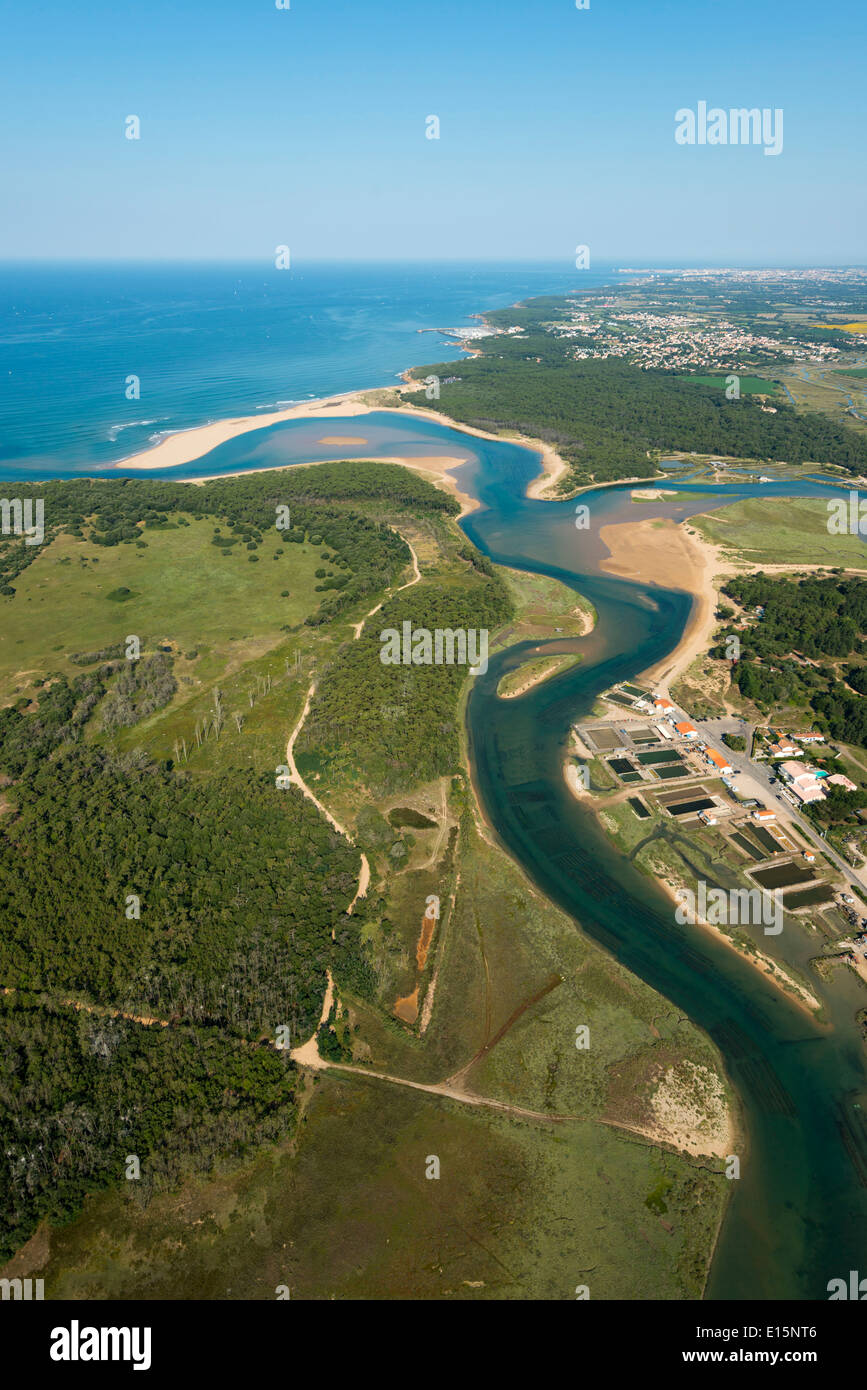 Talmont Saint-Hilaire (Departement Vendée): die Sümpfe Stockfoto