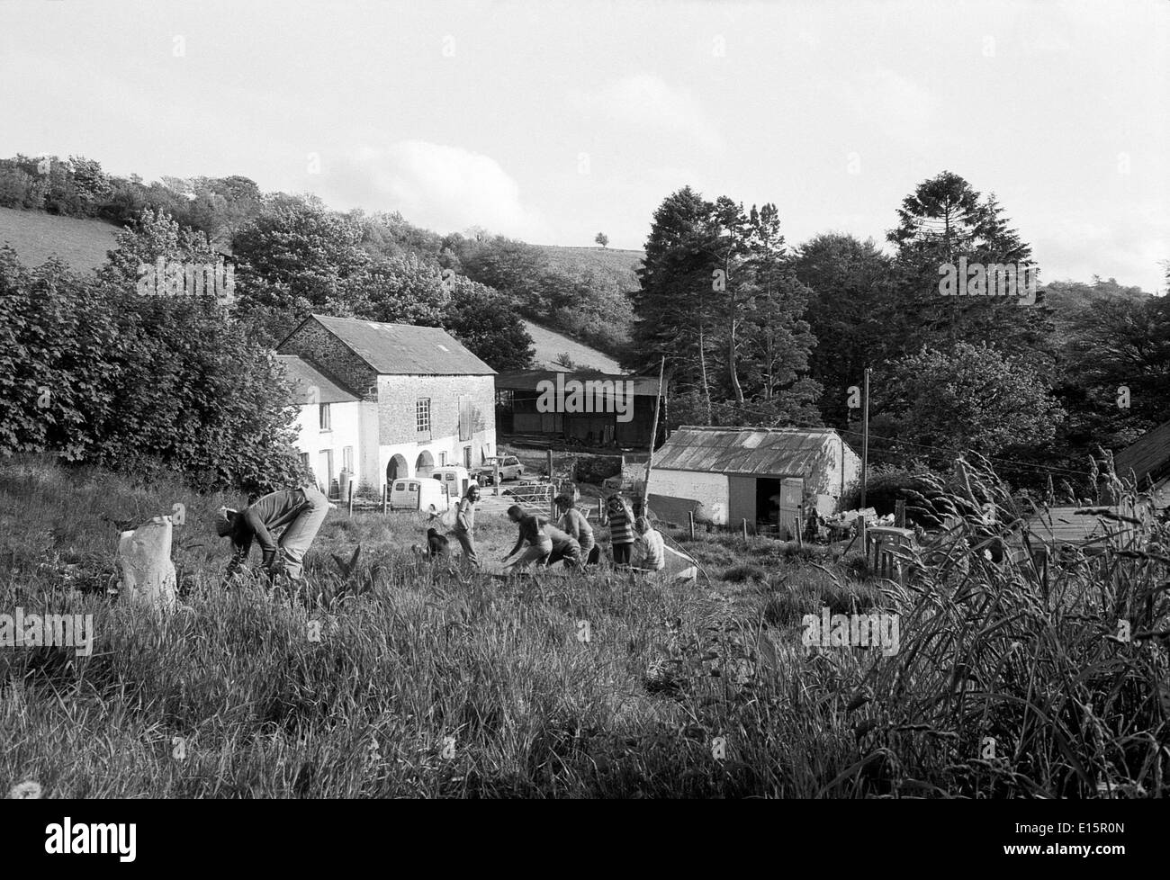 Hippies spielen Frisbee in einem Gemeinschaftsgarten mit Frau im Garten in einer Hippie-Gemeinde von 1970s im Sommer 1977 auf dem ländlichen Land Carmarthenshire Wales UK KATHY DEWITT Stockfoto