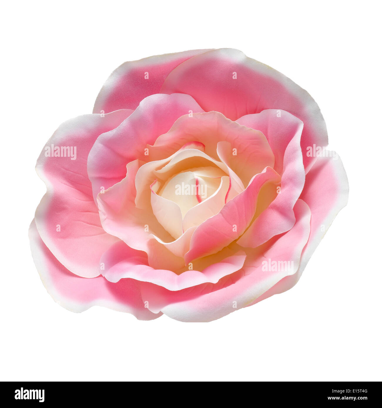 Künstliche Blume isoliert auf einem weißen Hintergrund. Ein weiches Licht über Stoff Textur in rosa Farbe. Clipping-Pfad Stockfoto