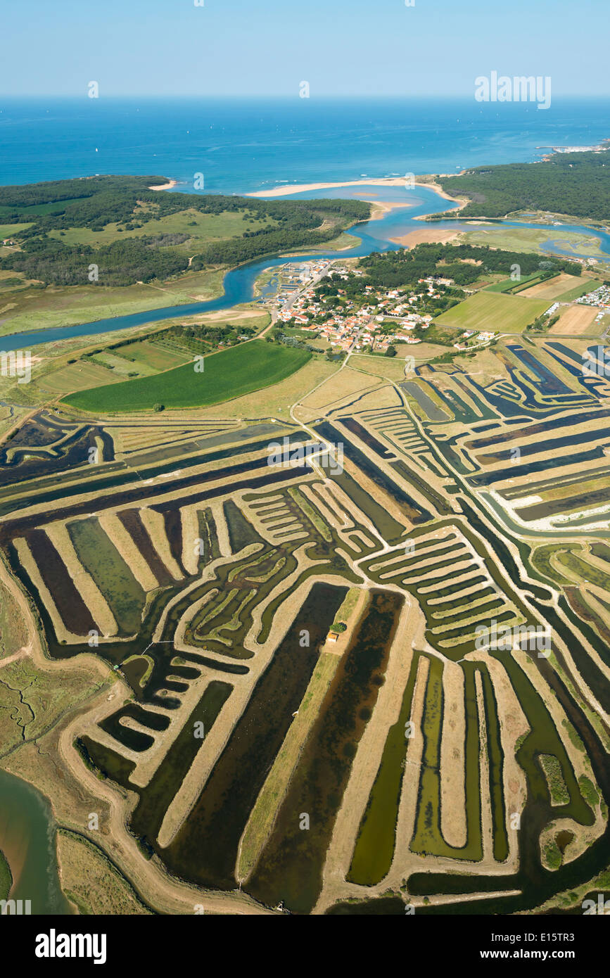 Talmont Saint-Hilaire (Departement Vendée): die Sümpfe Stockfoto