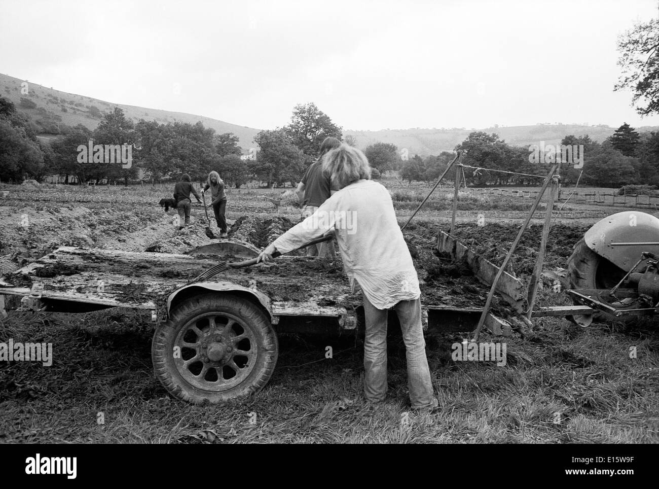 Hippies auf einer ländlichen Gemeinde aus dem Jahr 1970s schaufeln Pferdemist von einem Traktor und Anhänger Pflanzen Reihen von Kartoffeln auf einem Feld Carmarthenshire Wales UK KATHY DEWITT Stockfoto