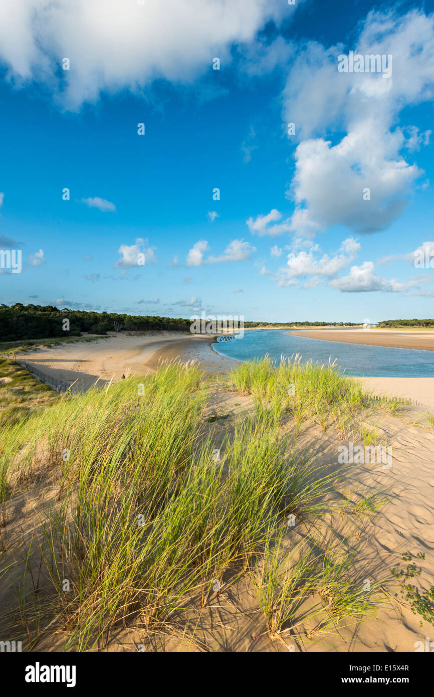 Talmont Saint-Hilaire Vendée-Abteilung: die Bucht "Anse du Veillon" Stockfoto