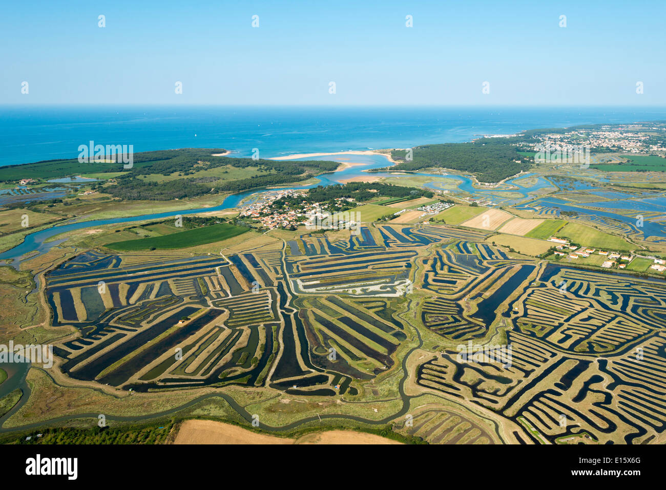 Talmont Saint-Hilaire (Departement Vendée): die Sümpfe Stockfoto