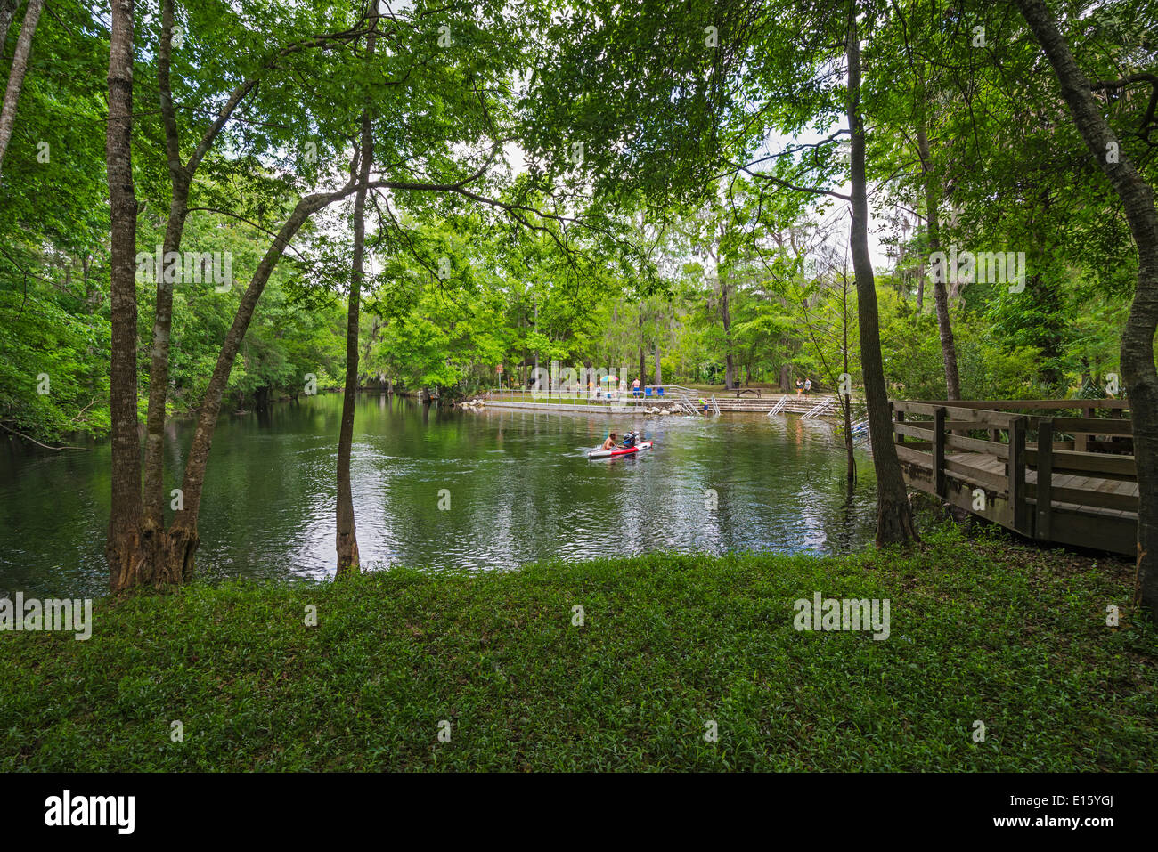 PoE Springs Park in der Nähe von High Springs Florida. Stockfoto
