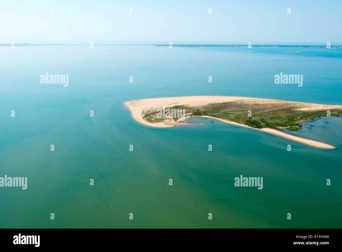 L'Aiguillon-sur-Mer: Die "Pointe d'Arçay' Strand an der Küste der Vendée Abteilung Stockfoto