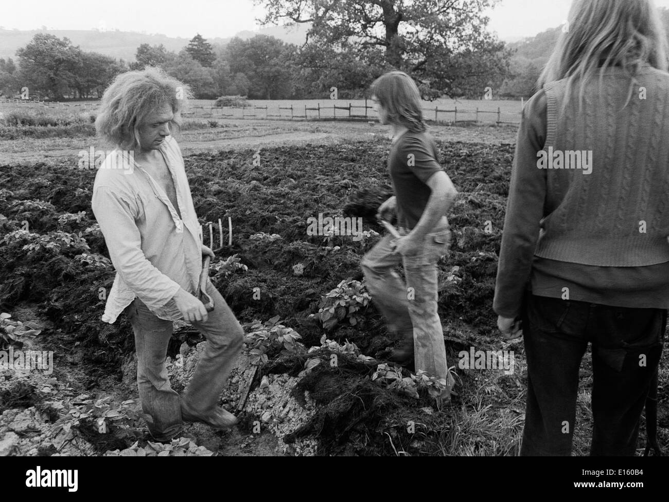 Hippie-Männer Hippies in einer ländlichen Gemeinde aus dem Jahr 1970s, die im Garten arbeitet und im Frühjahr in einem Gartenfeld Dünger auf Kartoffelreihen legt Carmarthenshire Wales UK KATHY DEWITT Stockfoto