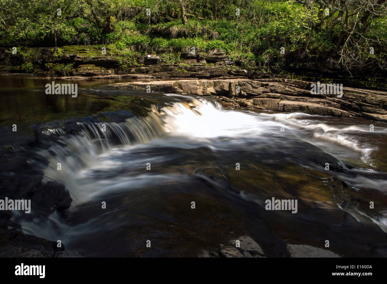 Untere Hoggarts springen, Wasserfall, Keld, North Yorkshire Stockfoto