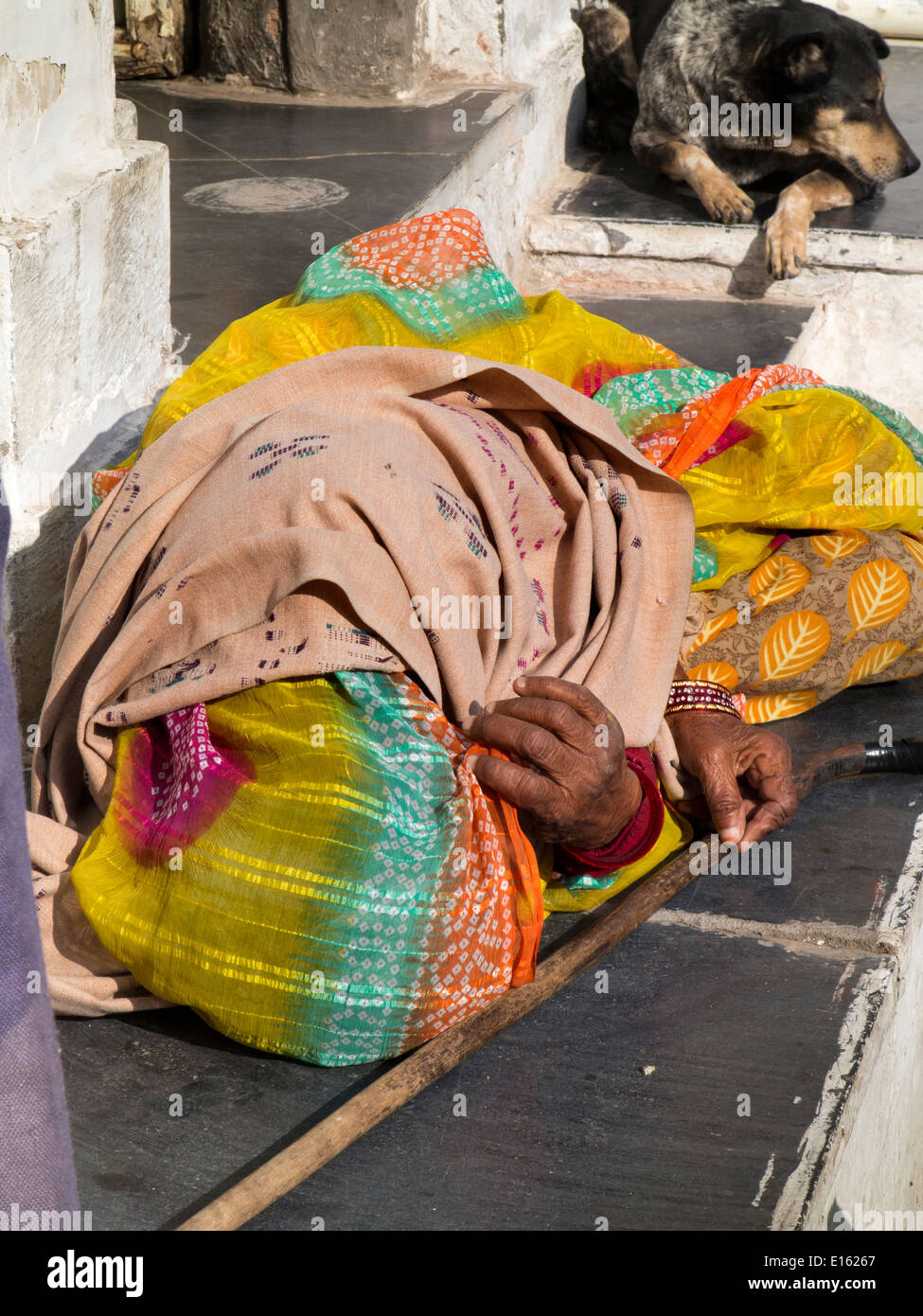 Indien, Rajasthan, Udaipur, Chandpole, alte Frau und Hund schlafen draußen in der Sonne Stockfoto