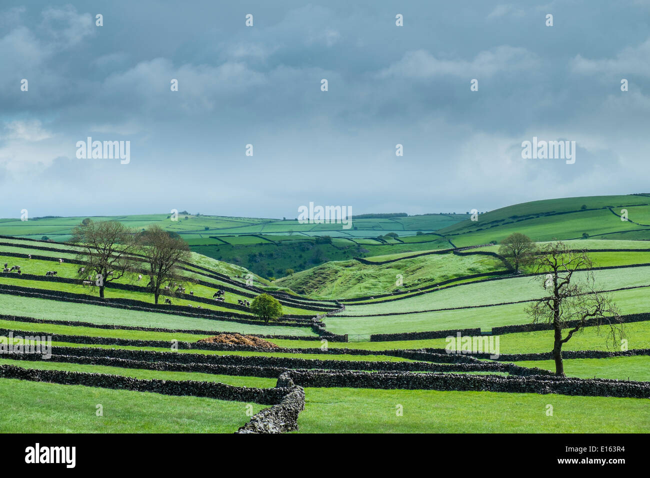 Ackerland, mit Blick auf Tansley Dale Nr Litton, Peak District National Park, Derbyshire, England. Stockfoto