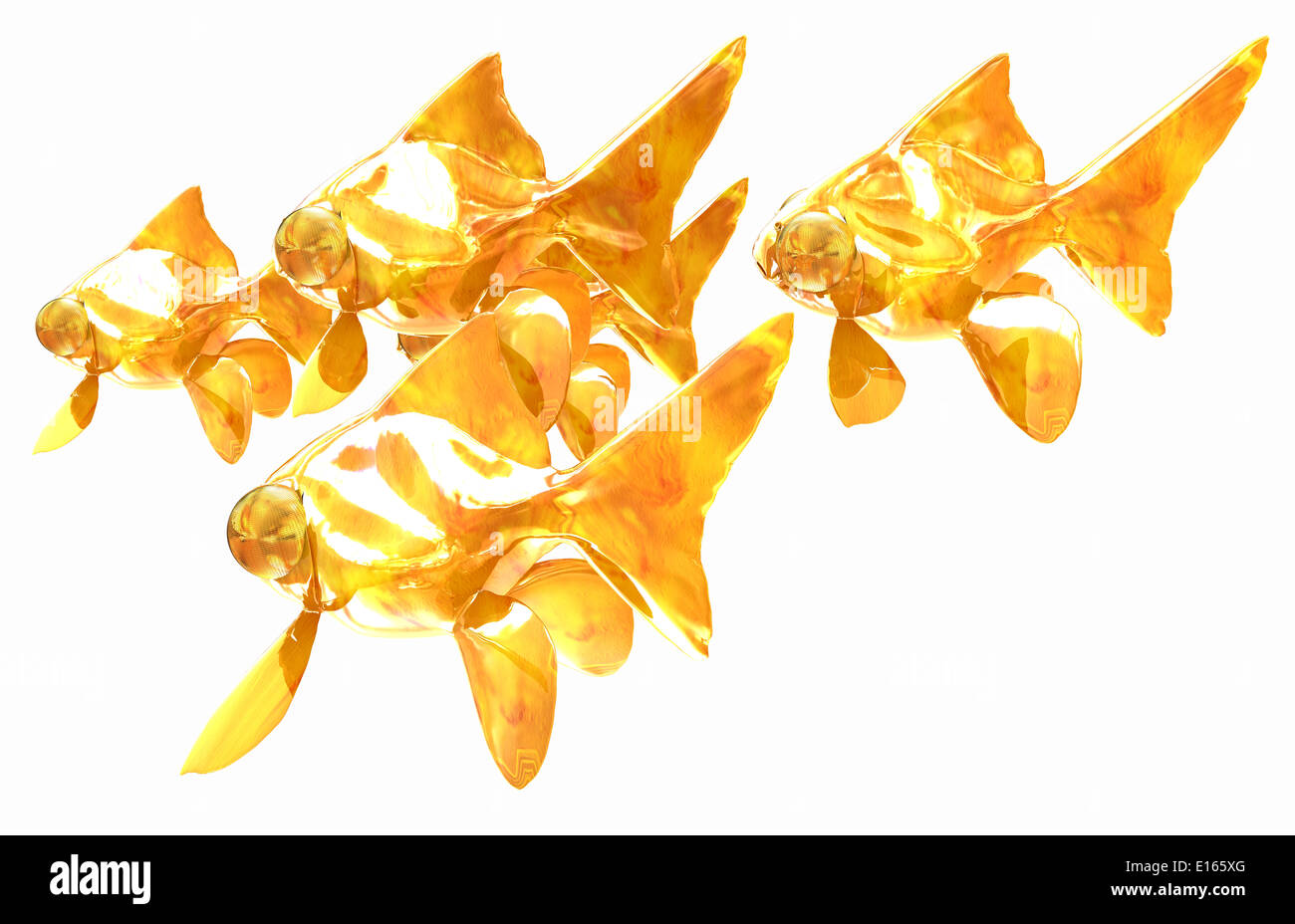 Goldfische. Isoliert auf weißem Hintergrund Stockfoto