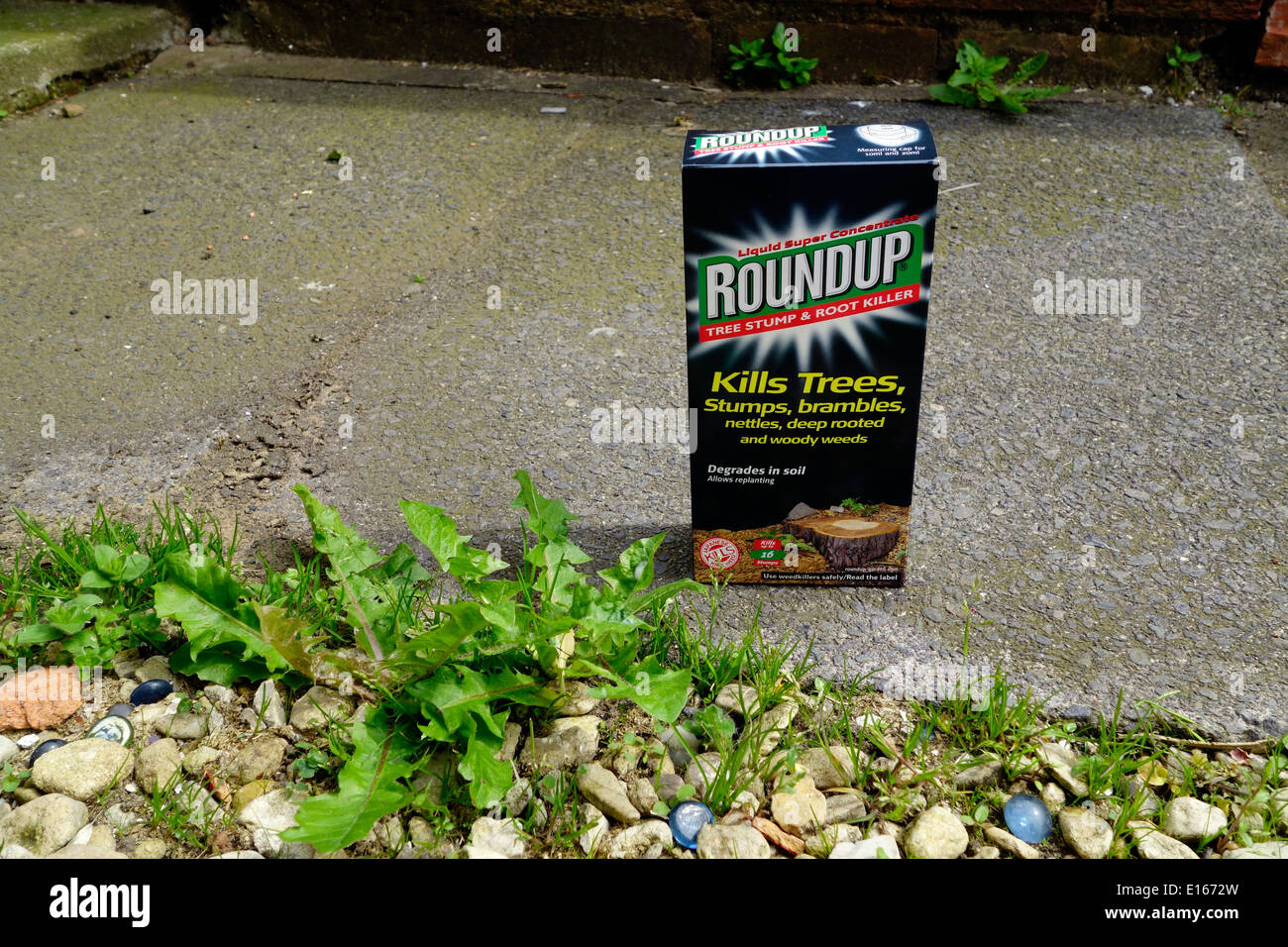 Roundup Baumstumpf und Stamm Killer Herbizid, UK Stockfoto
