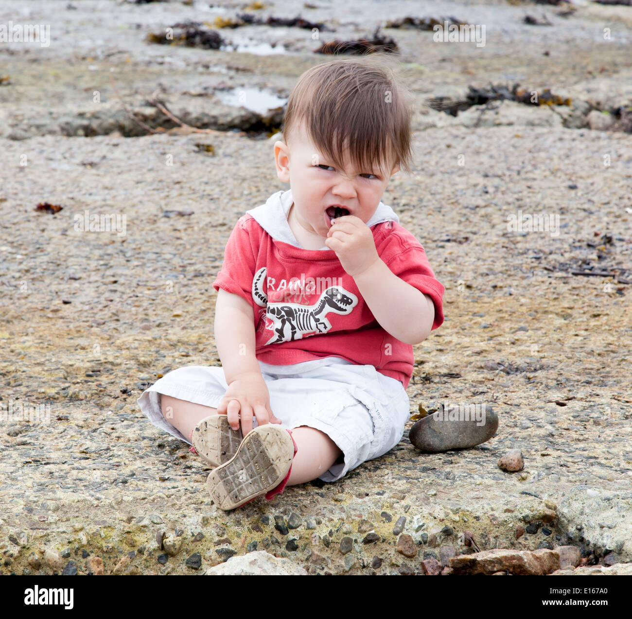 Junge Essen Steinen an der Küste Stockfoto