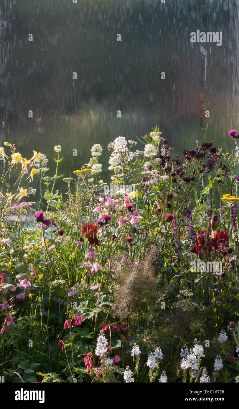 Völker Choice Award Gewinner im Bereich frisch-Gärten - RHS Chelsea Flower show 2014 - The Mind Eye Garten für RNIB - Royal National Institute for the Blind - Designer LDC Design - Sponsoren - Landschaft - beste Show in der frisch Gärten & Gold-Medaille ausgezeichnet Stockfoto