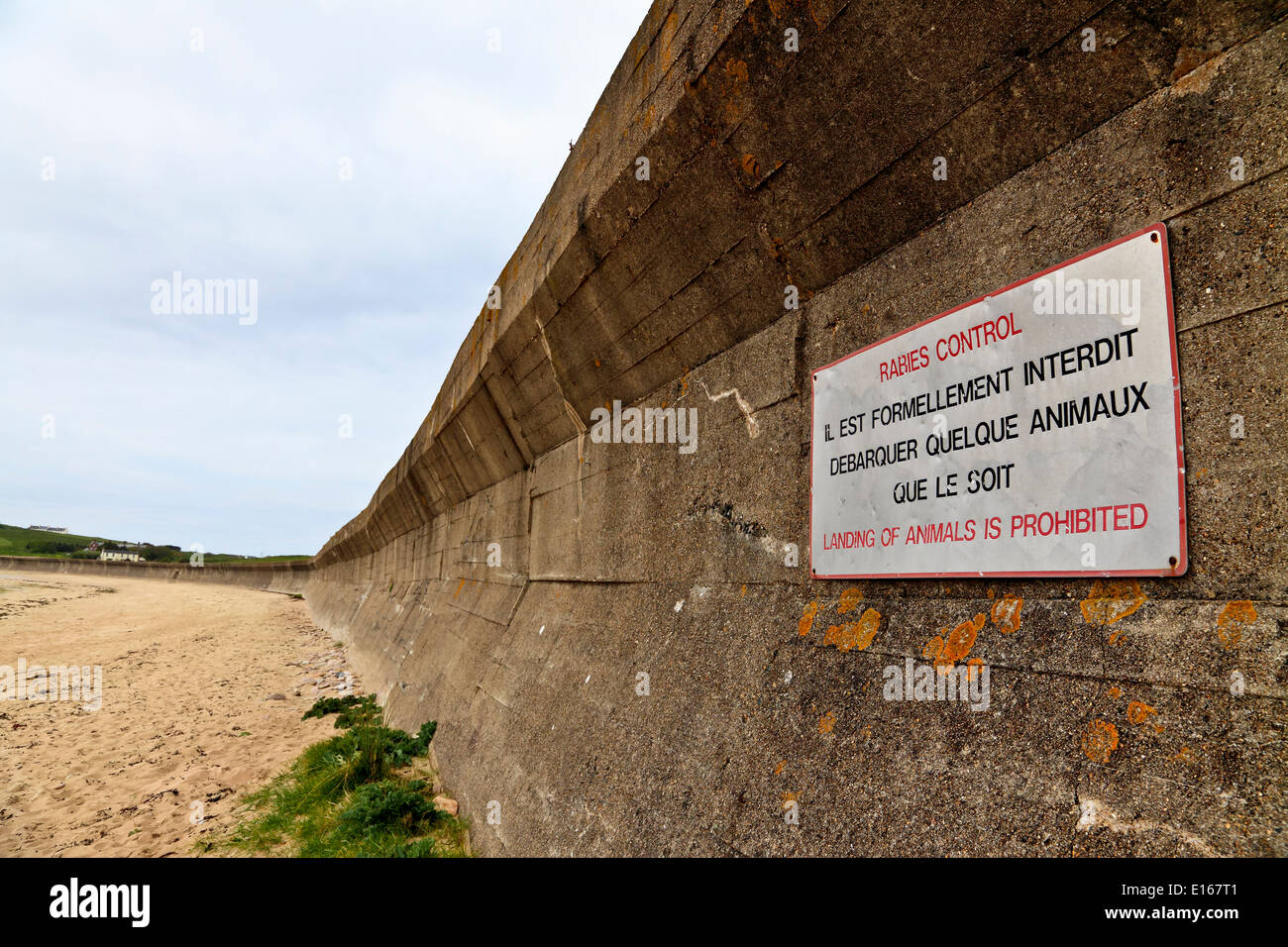 9120. deutscher Anit-Panzer Verteidigung WW2, Longis Bay, Alderney, Kanalinseln, Großbritannien, Europa Stockfoto