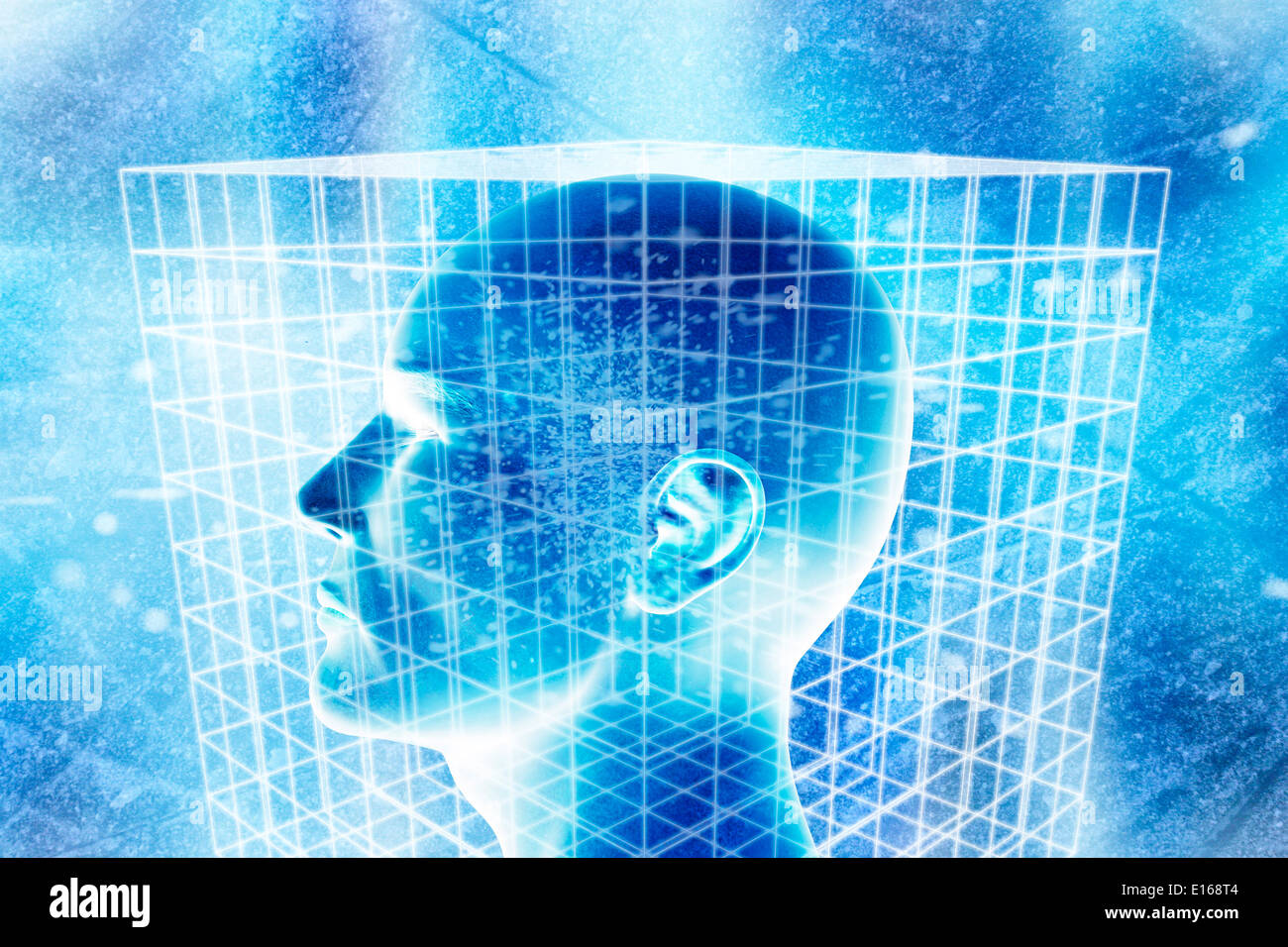 menschlicher Kopf in einem verkabelten Cube, konzeptionelle Darstellung für die Wissenschaft Stockfoto